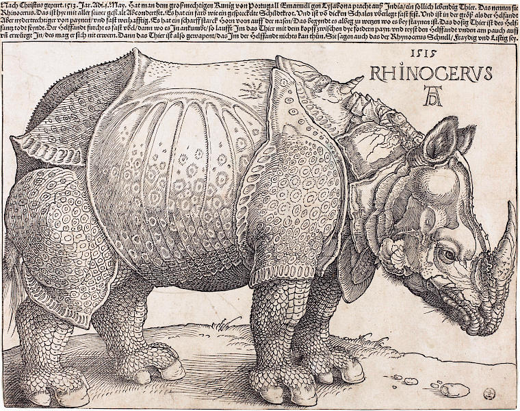 the_rhinoceros_nga_1964_8_697_enhanced.png